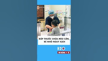 Bé 4 tuổi nguy kịch vì đắp thuốc nam chữa mèo cắn