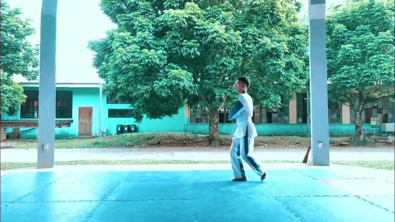 Moving Forward and Back, Double Arm Knife Hand Middle Block, Horse