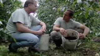 Dirty Jobs (coffee Grower Using Organic Farming)