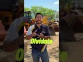 🎯 ¡Transforma tu negocio con maquinaria propia y confiable!