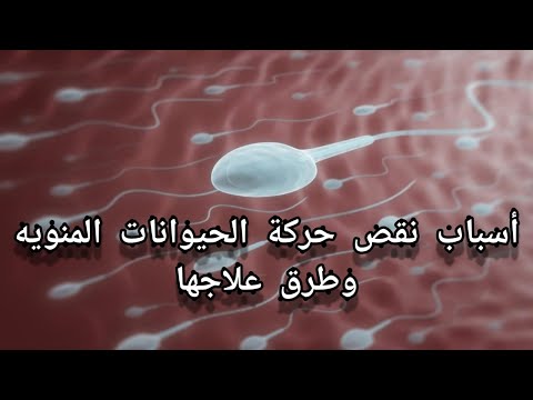 فيديو: ما هي البروتينات الحركية المسؤولة عن الحركة؟