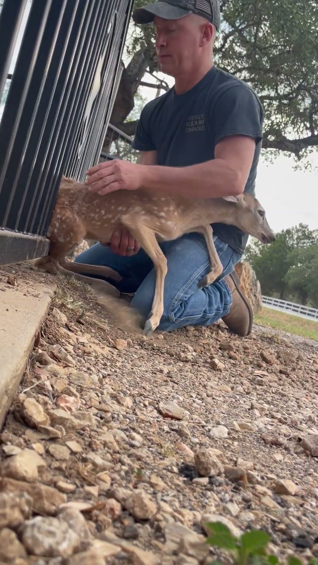 Couple Work To Save Fawn Rubbed Raw By Gate || ViralHog