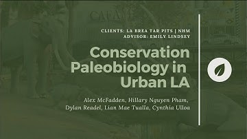 UCLA IoES Practicum 2020 (Full Presentation) | La Brea - Conservation Paleobiology in Urban LA