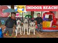 INDOOR BEACH FOR MY HUSKIES & KIDS!! [BEST VIDEO EVER!!!]