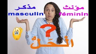 comment savoir si un nom est masculin ou féminin - كيف تعرف أن اسم فرنسي مذكر أم مؤنث