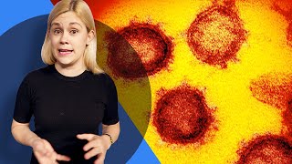 Coronavirus explained