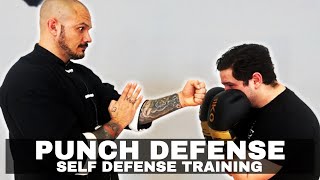 Boxing vs Wing Chun to Counter Straight Punch