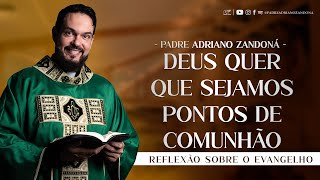 Fofoca é um instrumento do mal | Jo 17,20-26 | Padre Adriano Zandoná (16/05/24)