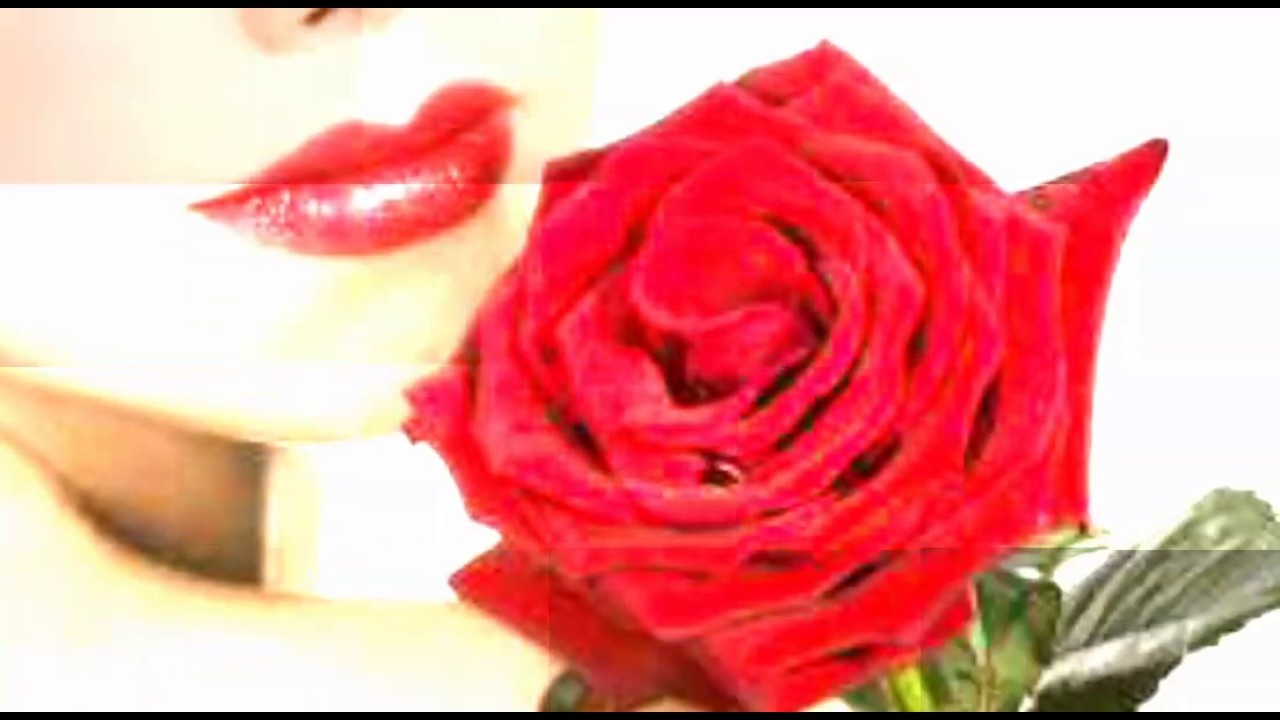 😉صور ورود جميله 😚‬‎ YouTube