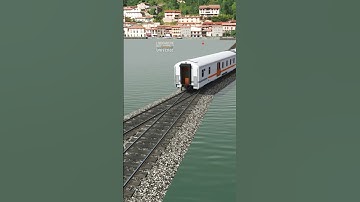 Kereta Api panjang Berebut Rel dengan Kereta Api cepat Di Persilangan #keretaapi #railway #train