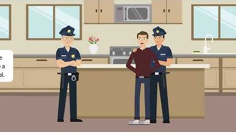 People v. Bray Case Brief Summary | Law Case Explained