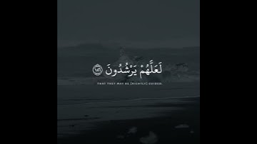 ﴿وإذا سألك عبادي عني فإني قريب أجيب دعوة الداع إذا دعان ..﴾ القارئ / عبدالله الموسى