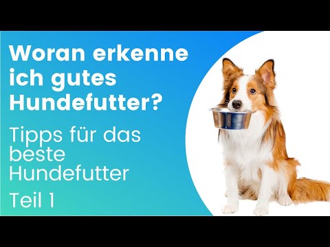 Video: Diätfutter Für Hunde Und Katzen Sinnvoll Machen, Teil 1