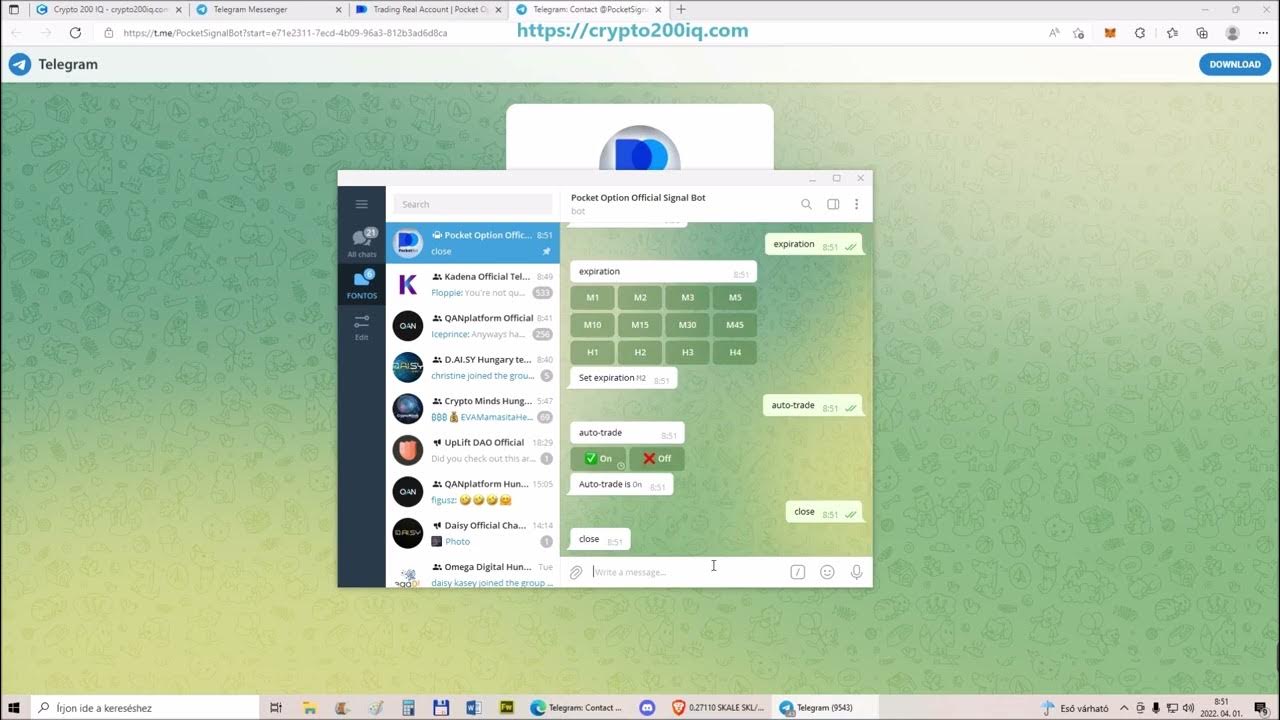 Option pocket сигнальный телеграмм. Option pocket сигнальный телеграмм