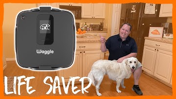This Could Save Your Pets LIFE! Must Have For RV