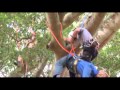 2013 ISA Asia Pacific Tree Climbing Championships