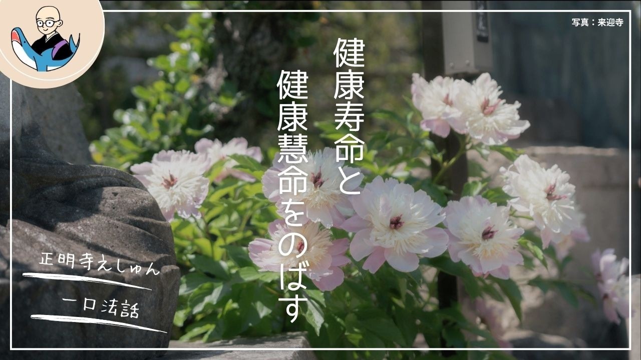 健康寿命と「健康慧命」をのばす〈一口法話〉