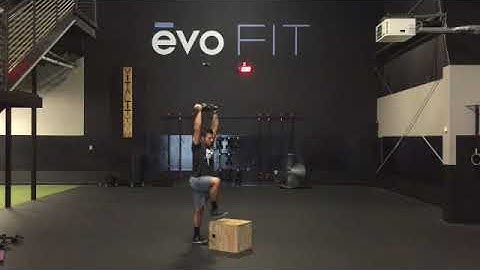 Overhead Step-Up with Knee Raise / Overhead Step-Up / Single arm Overhead Step-Up
