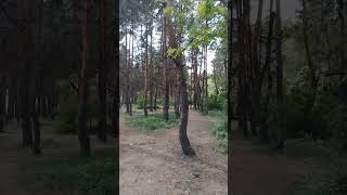 Воронеж Россия парк отдыха Танаис май 2024