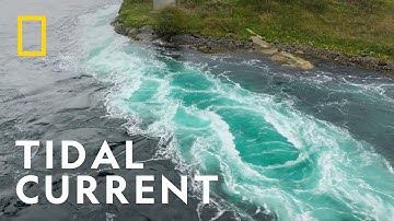 Saltstraumen, the World