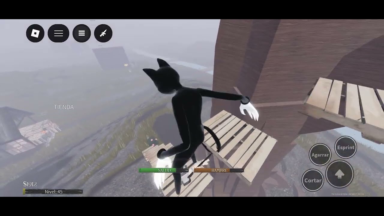 Cabeza de sirena 😏