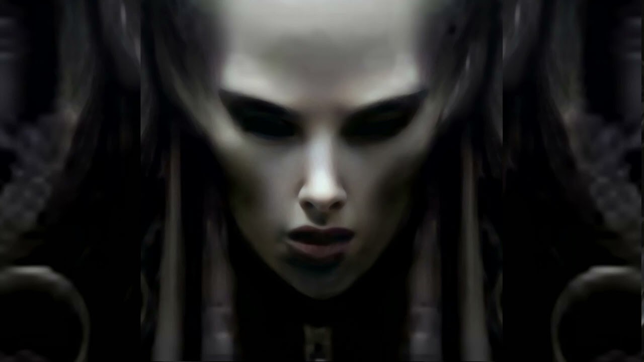 FRACTALIZE - DICHOTOMY feat Coleman Bryce