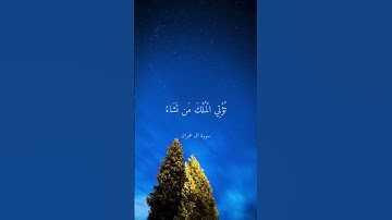 تلاوة هادئة بصوت الشيخ علي جابر رحمة الله ارح سمعك #علي_جابر