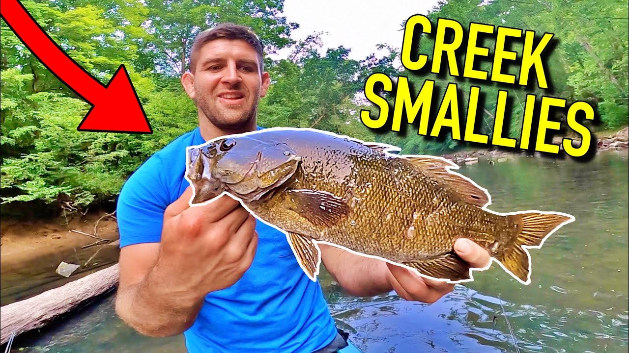 Fishing a Tiny West Virginia Creek for Smallmouth Bass! YouTube
