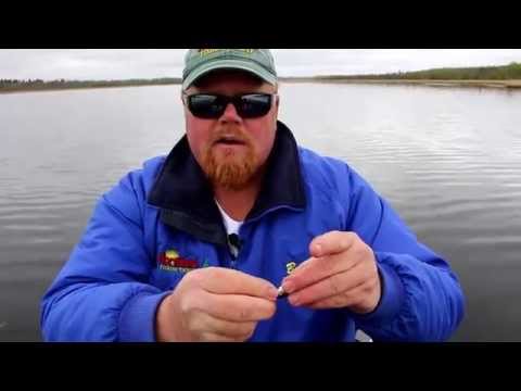 How to double hook a shiner minnow with Bro