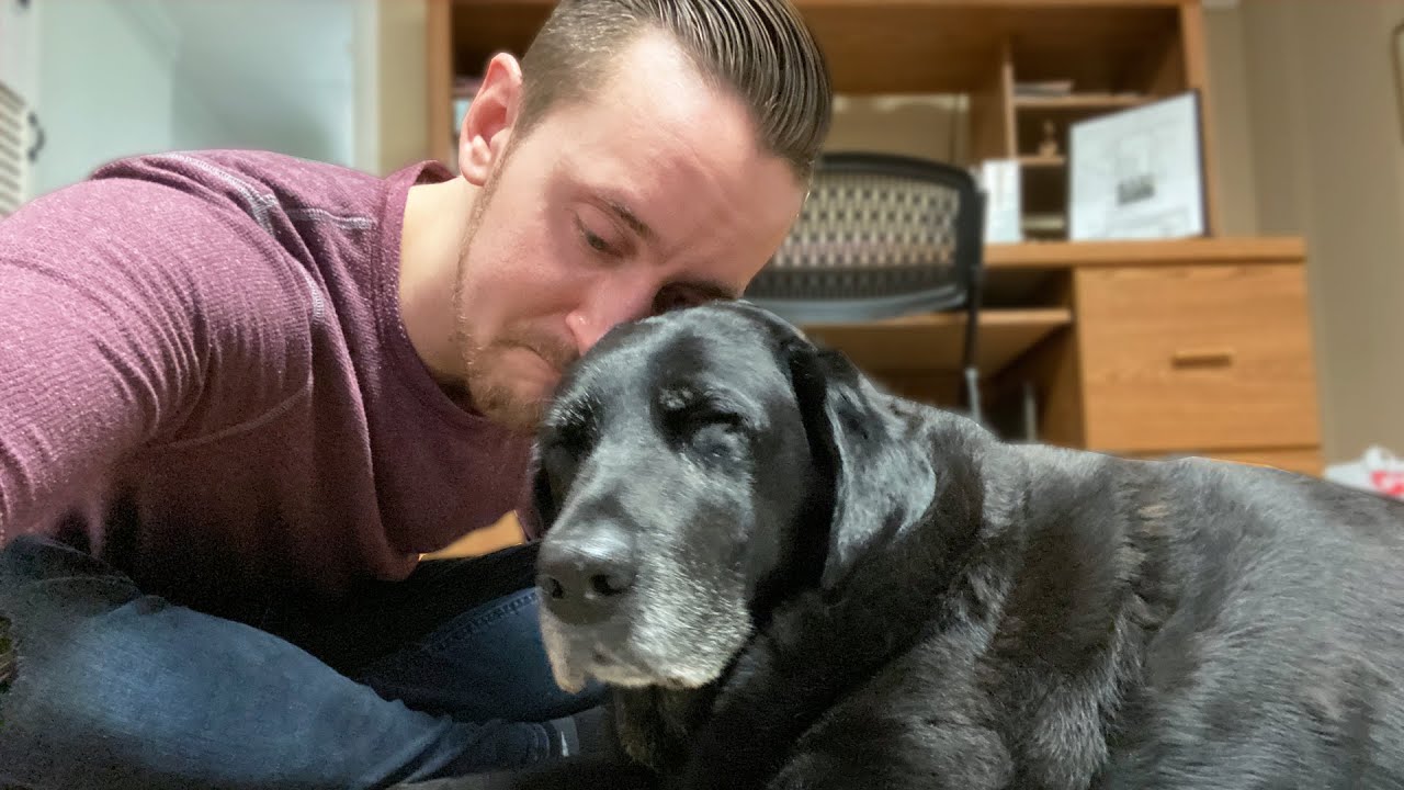 Saying Goodbye To My Best Friend, Maggie - An Emotional Dog Tribute | Raymond Strazdas