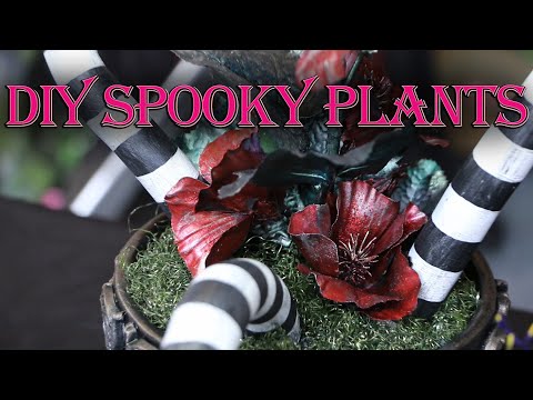 Videó: Kert halloween-díszek: Halloweeni növények termesztése bemutatókhoz