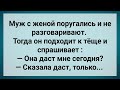 Теща Сказала Что Даст! Сборник Свежих Анекдотов! Юмор!