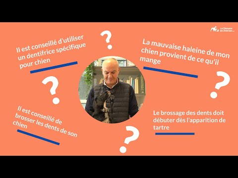 Vidéo: Ne négligez pas la santé dentaire de votre animal