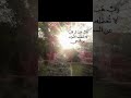 اللهم صل على محمد عدد ما ذكره الذاكرون وغفل عن ذكره الغافلون