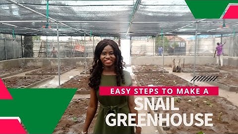 Easy steps to setup your snail farm greenhouse