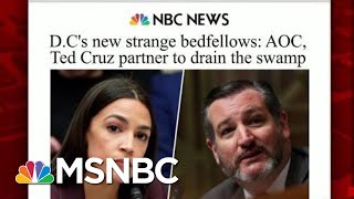 An Unlikely Pair Finds Common Ground In DC | Morning Joe | MSNBC