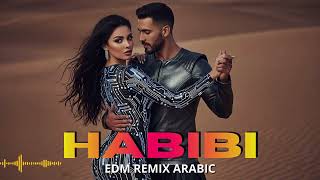 Download Lagu Arabian EDM Jump Dance 2025 Positive Belly Vibes MP3