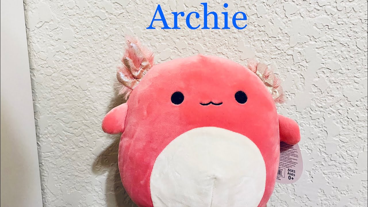 5 archie squishmallow