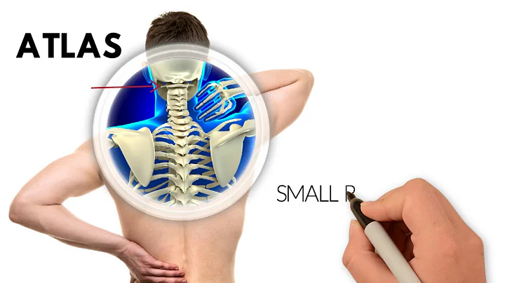 UPPER CERVICAL NUCCA CHIROPRACTORS IN WHITEFISH, MT.