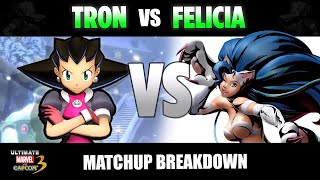 Tron vs Felicia | UMVC3 Tron Matchup Tips & Tricks