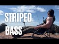 Striped Bass Fishing in Bay of Fundy
