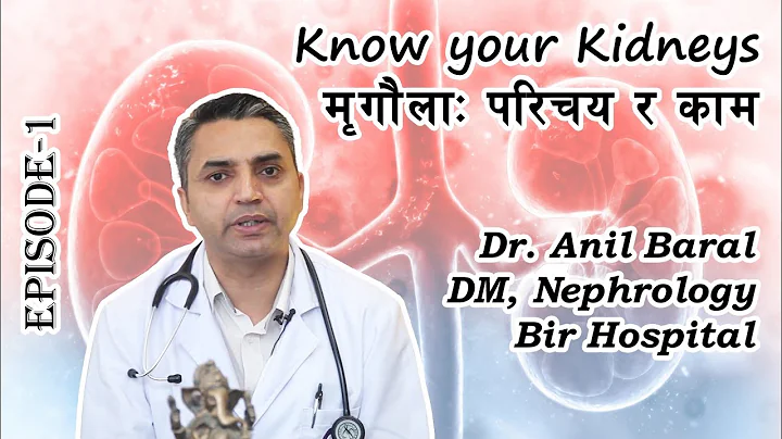 -    | Human Kidneys explained in Nepali | Dr Anil...
