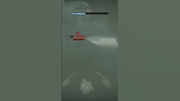 Witcher 3 The Wild Hunt Crazy Glitch In Novigrad