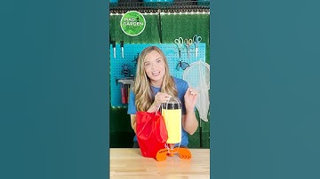 🚀 Make A Water Bottle Rocket | Science For Kids #scienceactivity #bottlerocket #waterbottlerocket