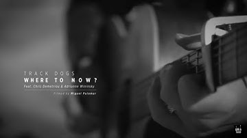 Track Dogs - "Where to Now?"  (Official Videoclip)
