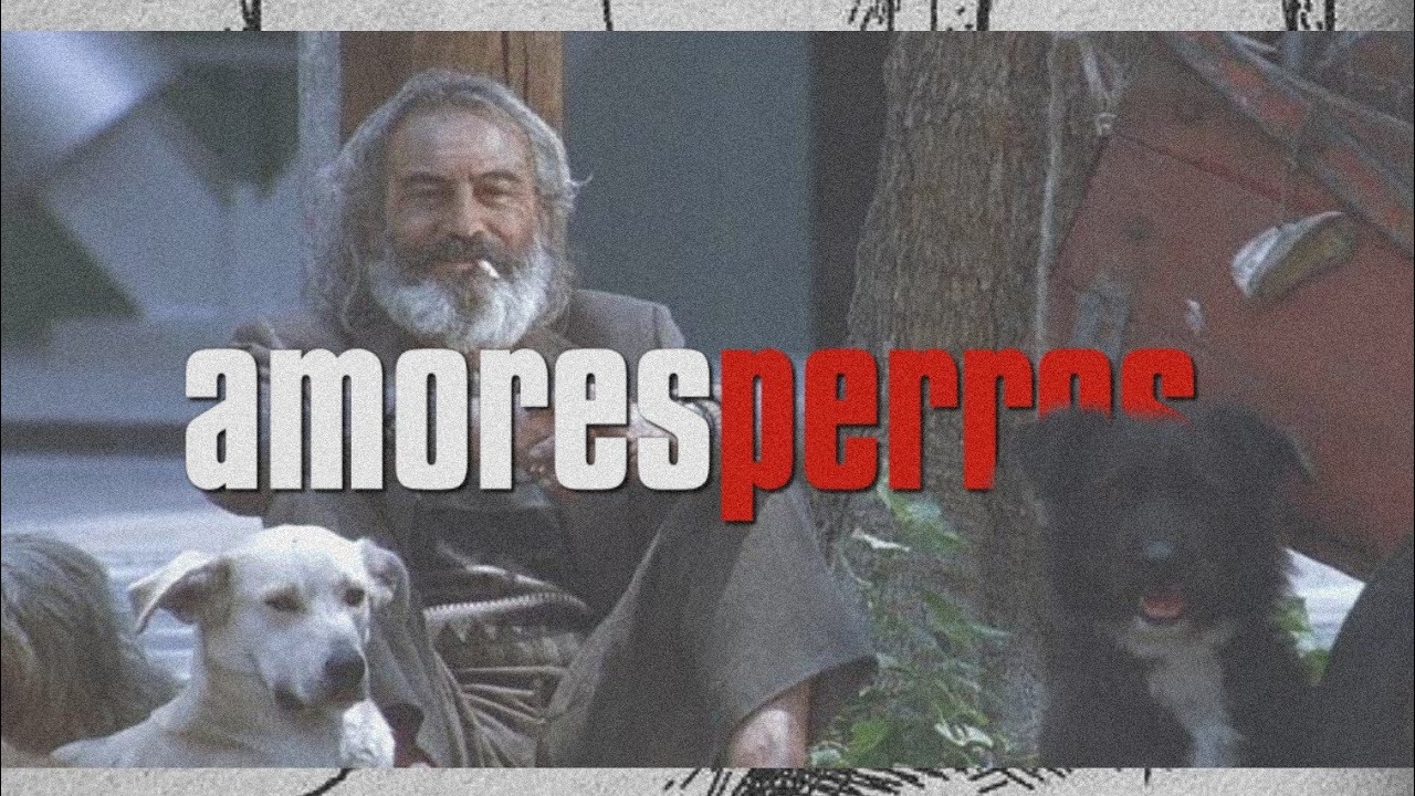 AMORES PERROS (Si seΓ±or - Control Machete) πππ πππ AMORES PERROS (Si seΓ±or - Control Machete) πππ πππ