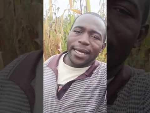 Shetani Vs Anastasia