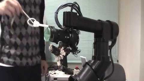 Dynamic Manipulation of a Linear Flexible Object with a High-speed Robot Arm