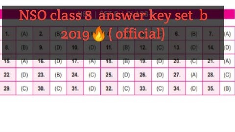 NSO set b class 8 2019 answer key🔥