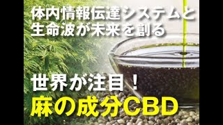 奇跡の麻とCBD ZOOMセミナー